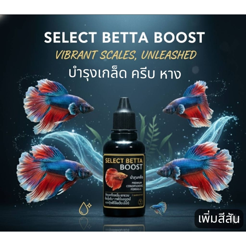 SELECT BETTA BOOSTบำรุงเกล็ดสวย สูตรเข้มข้นพิเศษ ครีบหางเพิ่มสีสันปลากกัดปลาสวยงามตู้ปลา