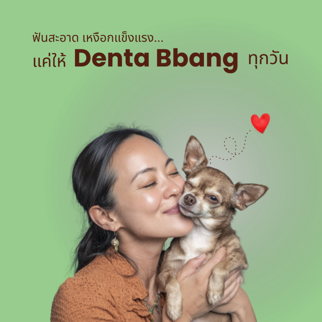 Hanapet سكاكر تنظيف أسنان الكلاب Denta Bbang ‏(10 قطع) — صورة 7