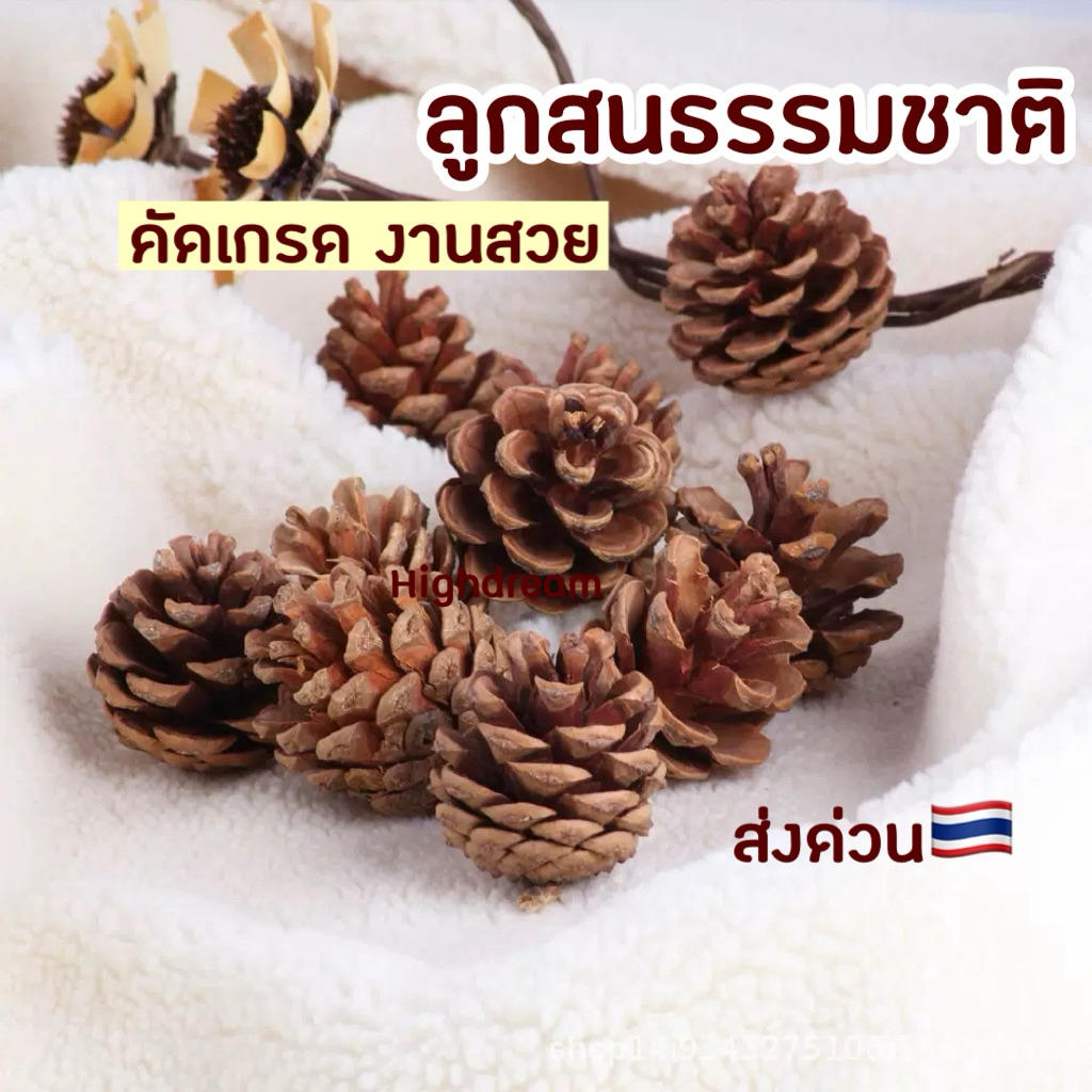 ส่งด่วน🇹🇭 ลูกสน ลูกสนธรรมชาติ ลูกสนน้ำตาล คริสมาสต์ ของตกแต่งบ้าน ร้านคาเฟ่