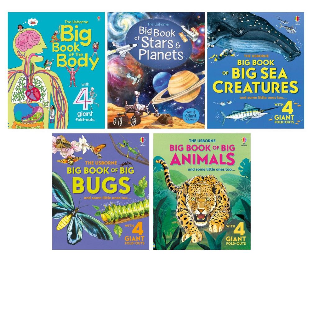 Usborne - Big Book With Fold-outs Book Series