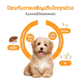 Frontguard ยาหยอดเห็บหมัดสุนัข กำจัดเห็บ หมัด ไข่หมัด ใช้ง่าย สำหรับสุนัข
