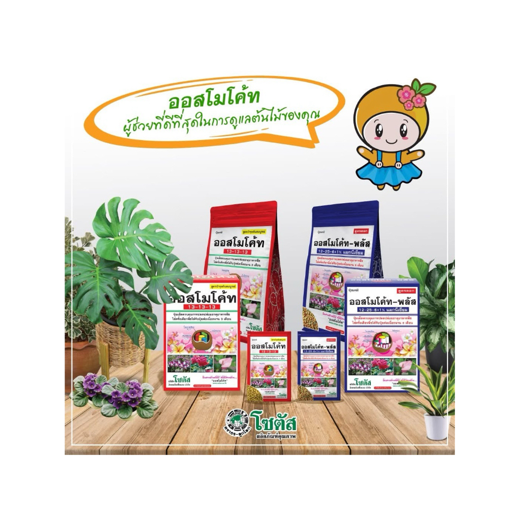 ปุ๋ยออสโมโค้ท สูตร 13-13-13ปุ๋ยละลายช้าบำรุงพืชมีธาตุอาหารครบถ้วนทุกเม็ดตามที่พืชต้องการมี 2 ขนาด 100 กรัม และ 1 กก