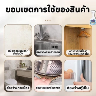 สเปรย์กันเชื้อรา สารกันเชื้อรา น้ํายาขจัดคราบผนัง กําจัดแบคทีเรีย กําจัดและป้องกันเชื้อรา