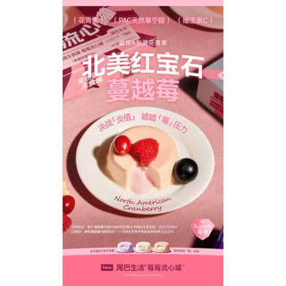 (ยกกล่อง) Furry Tail - Berry Lava Core Can อาหารเปียกแมวลาวาไส้ไหล 260g (65g× 4กระป๋อง) พร้อมส่งจากไทย