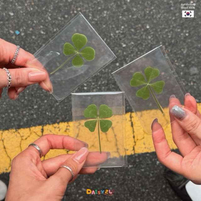 (พร้อมส่ง⭐️)🍀ใบโคลเวอร์ 4 แฉก 🍀 ของแท้💯 จากเกาหลี 🇰🇷 เครื่องรางนำโชค เสริมดวง พกติดตัว สายมูต้องมี‼️