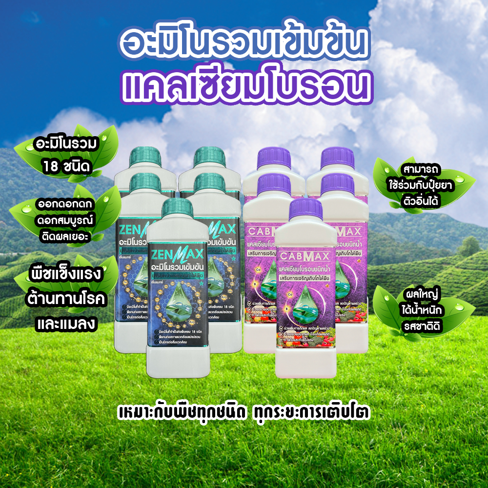 อะมิโนรวมเข้มข้น Zenmax + แคลเซียมโบรอน Cabmax เหมาะกับพืชทุกชนิด ทุกระยะการเติบโต 10 ลิตร