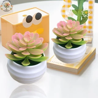 จําลองพืชอวบน้ํามินิบอนไซ รูปร่างเต็ม สีที่สมจริง การจำลองระดับสูง บอนไซสำนักงาน สีเขียวบรรเทาความเมื่อยล้า