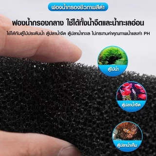 🔥หนา 5 ซม.🔥ยกรองดำฟองน้ำ ใยกรองฟองน้ำดำ Filter Mat ยกรองหนาพิเศษ 40x50/50x50cm ใยกรองน้ำตู้ปลา