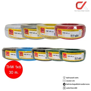 Thai Union THW 1x6 30ม. Copper Conductor 450/750V PVC 70 สาย…