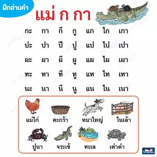 พร้อมส่ง ไวสุด คำกลอนสอนอ่านจาก ประถม ก กา ชุดคำกลอนสอนอ่าน 3077 [TP]