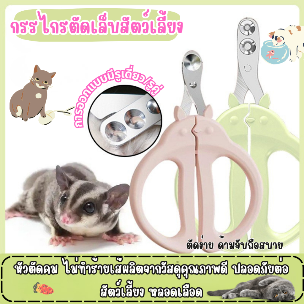 โทโทโร่ กรรไกรตัดเล็บแมว ตัดเล็บ แบบมืออาชีพ การออกแบบรูเดี่ยว/คู่ ป้องกันการตัดเส้นเลือดของแมว