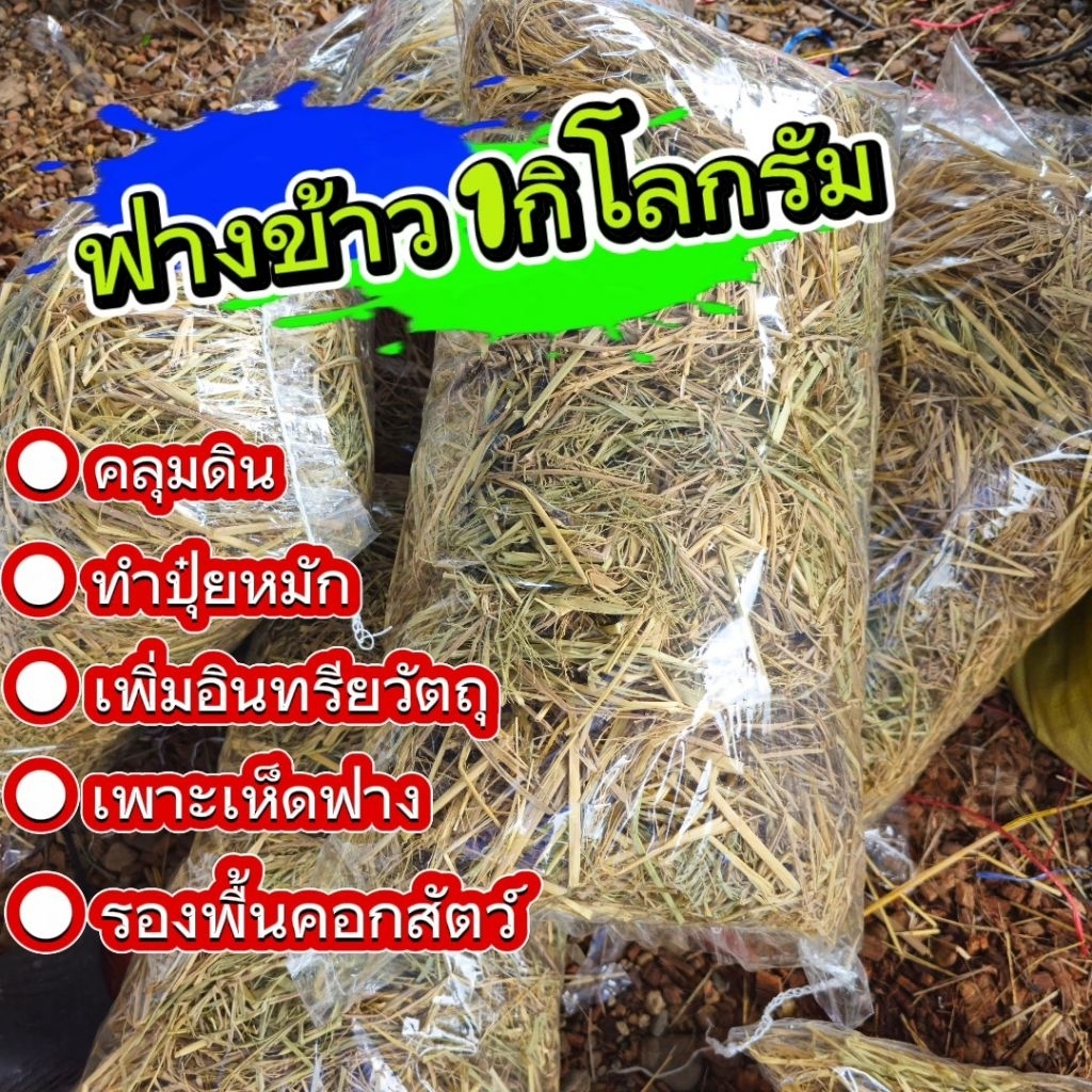 ฟางข้าว ใบก้ามปู แกลบ กาบมะพร้าว สับ วัสดุปรุงดิน 1กิโล