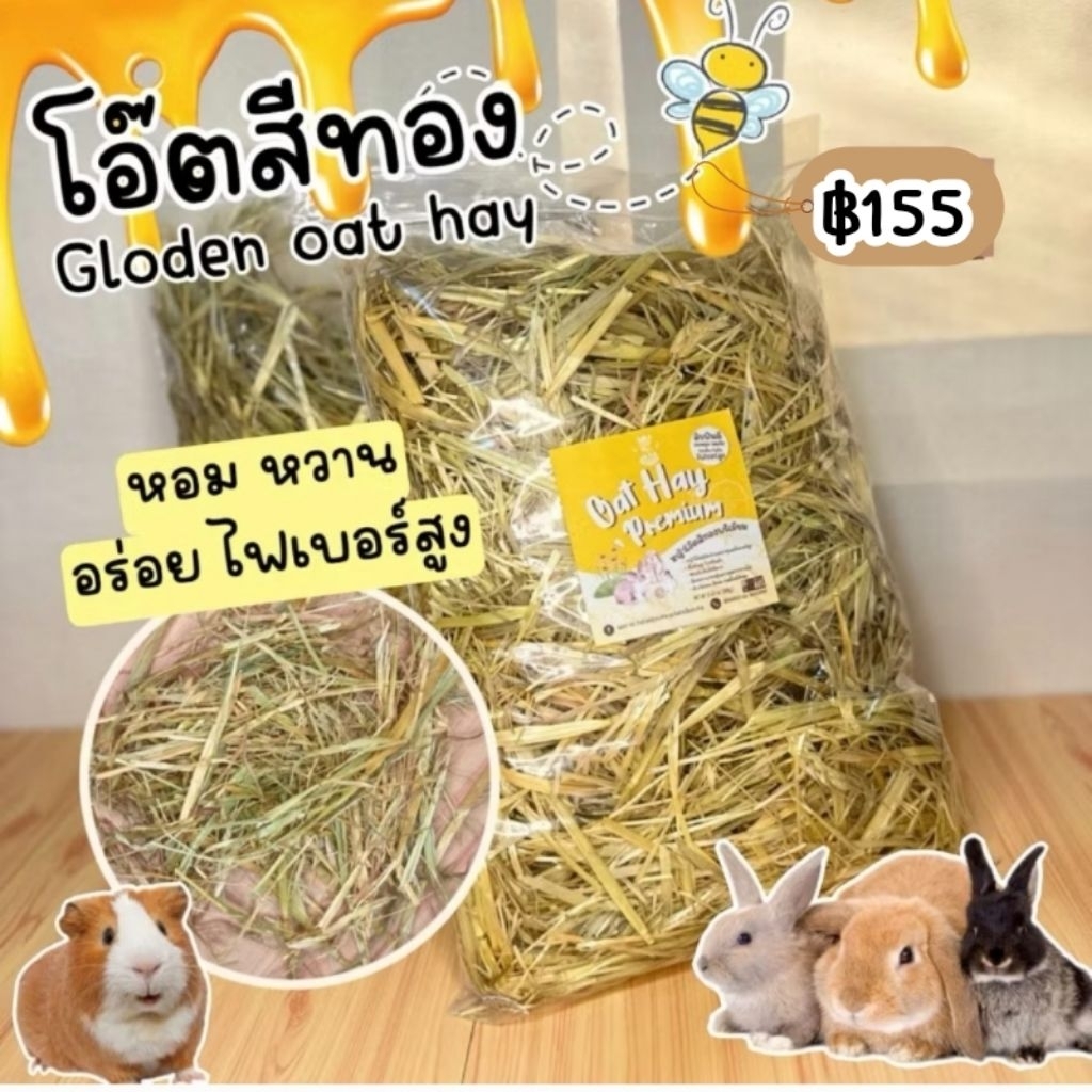 🌟หญ้ากระต่าย โอ๊ตสีทอง🌾ขนาด 500 กรัม นำเข้าจากออสเตรเลีย หญ้ากระต่าย แกสบี้