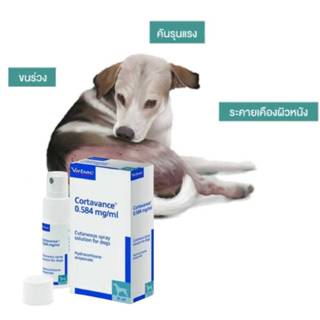 Virbac Cortavance 31 ml ล็อตใหม่ล่าสุด