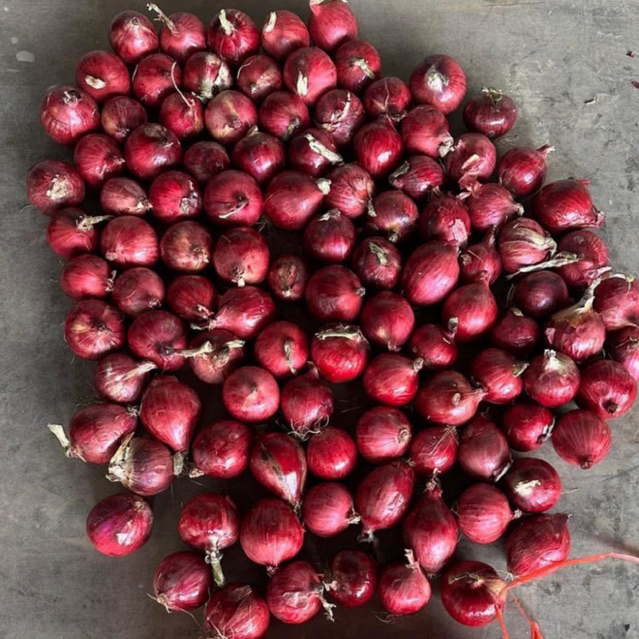 รูปภาพ 2