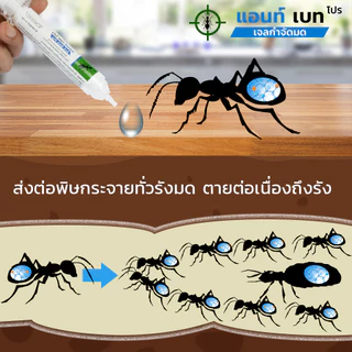 เจลกำจัดมด Ant Bait Pro แอนท์เบทโปร เหยื่อกำจัดมด