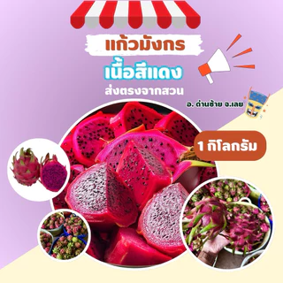 แก้วมังกรเนื้อสีแดง 1kg. ส่งตรงจากสวน จ.เลย หวาน สด ใหม่(ปลอดสารพิษ)