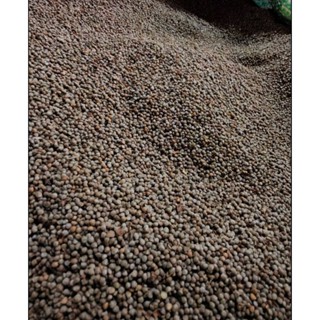 งาม่อนใหม่ 1กิโล งาขี้ม่อน งาใหม่ งาขี้ม้อน เก็บจากสวน