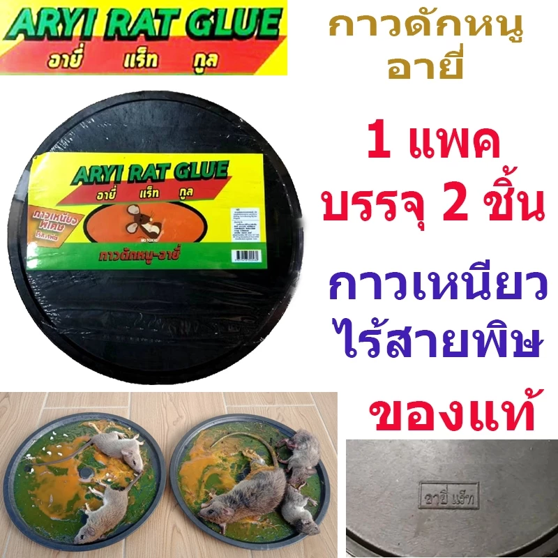 ARYI กาวดักหนู อายี่ ของแท้ กาววิทยาศาตร์ เหนียวมาก ชนิดถาดสำเร็จรูป กาวดักหนูสำเร็จรูป 1ชุด มี2แผ่น
