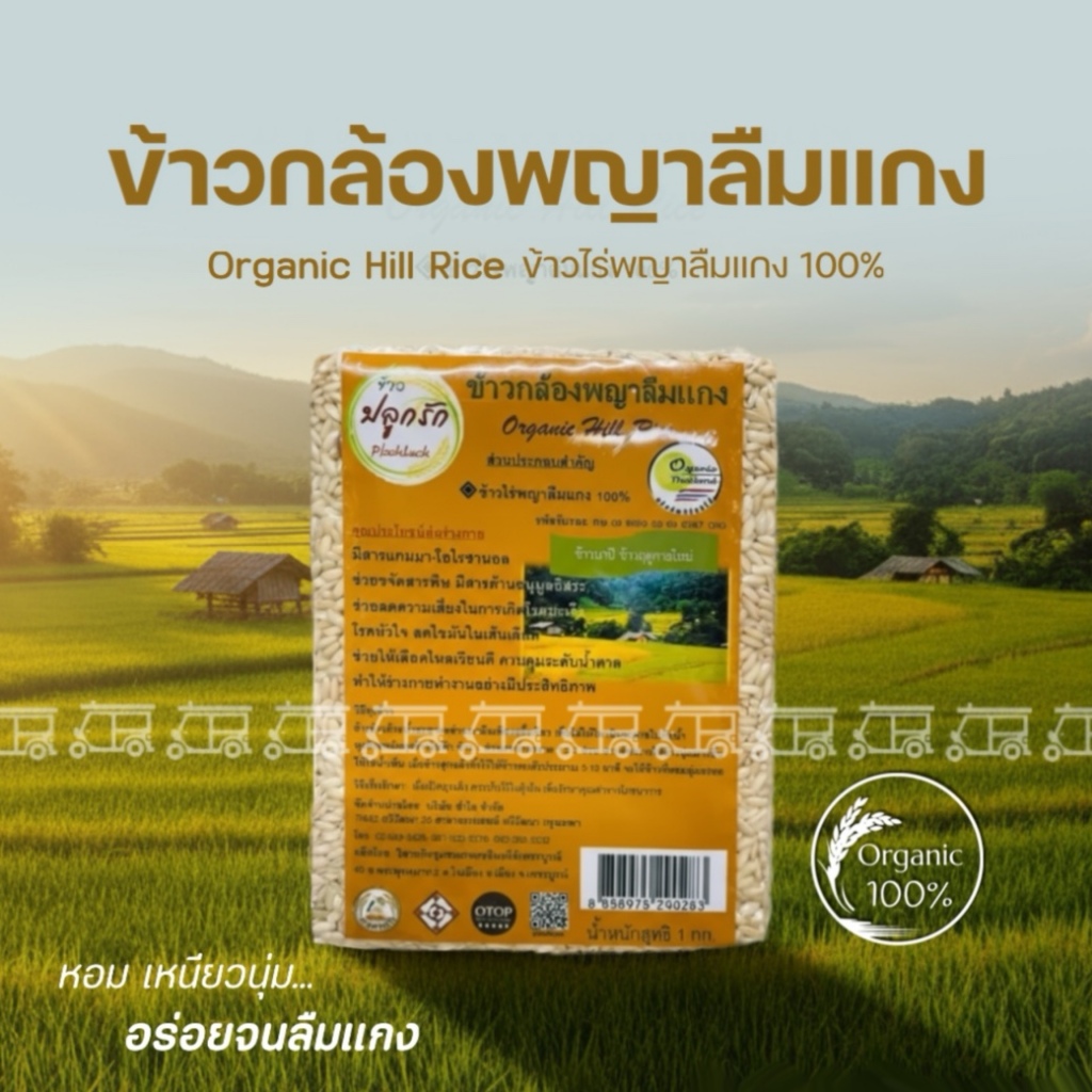 พร้อมส่ง! ข้าวพญาลืมแกง 1kg อร่อย จนลืมแกง ข้าวกล้อง พญาลืมแกง 100% จากเพชรบูรณ์ พันธุ์พื้นเมือง ข้าวใหม่