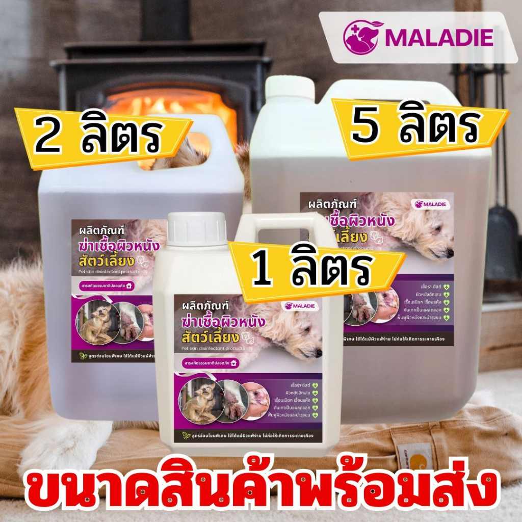 MALADIE สเปรย์ จัดการเห็บ หมัด สุนัข แมว เชื้อรา ขนร่วง คันเกา ยีสต์ ตัวช่วยลดอาการคัน