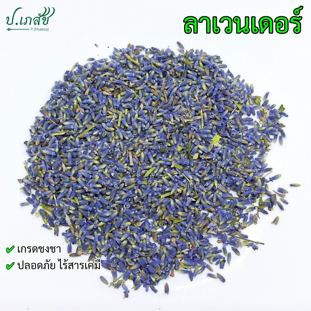 ลาเวนเดอร์ [50 / 100 กรัม] ดอกลาเวนเดอร์ Lavender Flower