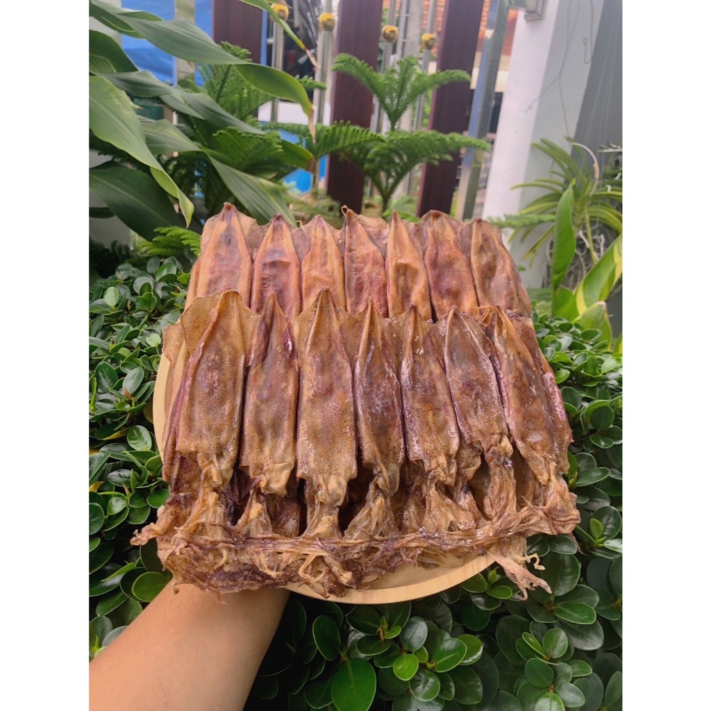 หมึกแพไข่แดง ของตกเกรด ลดราคากระหน่ำ เนื้อหวาน ไม่เค็ม ไม่เหม็น