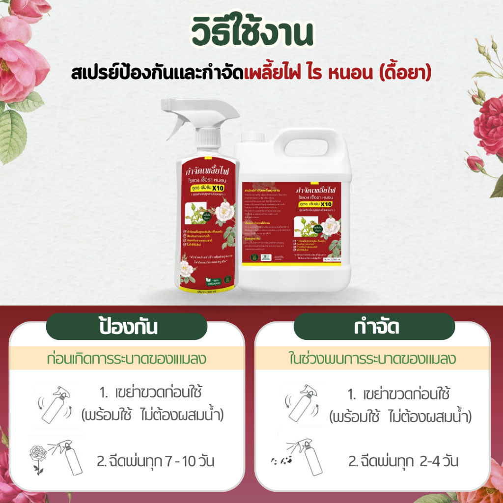 Rosy กำจัดเพลี้ยไฟดื้อยๅ [ฉลากแดง สูตรเข้มข้น X10 ] สำหรับกุหลาบ ไม่กลับมาระบาดซ้ำ ไม่ทำให้ใบไหม้ ไม่ดื้อยา รูปที่ 4