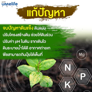 ปรับสภาพดินให้ร่วนซุย แก้ดินแข็ง ดินแน่น ฟื้นฟูดิน จุลินทรีย์บำรุงดิน อูเมะไลฟ์ บำรุงดิน 100 กรัม.