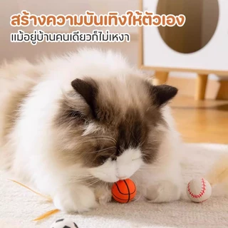 ชุดของเล่นแมว ลูกบอลและขนนก ของเล่นแมวเบื่อๆ เกมพักผ่อน ของเล่นแมว ลูกบอลขนนก ของเล่นลูกบอล