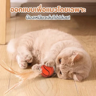 ชุดของเล่นแมว ลูกบอลและขนนก ของเล่นแมวเบื่อๆ เกมพักผ่อน ของเล่นแมว ลูกบอลขนนก ของเล่นลูกบอล