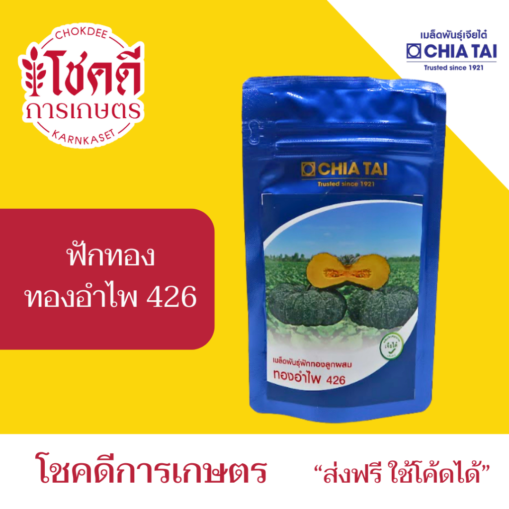 ฟักทอง เมล็ดฟักทอง ทองอำไพ 426 เมล็ดพันธุ์ ฟักทอง ลูกผสม ตรา เจียไต๋ บรรจุ 1000 เมล็ด