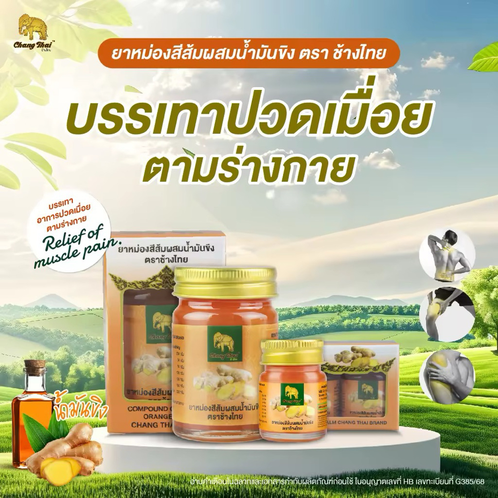 ยาหม่องสีส้มผสมน้ำมันขิง ตราช้างไทย บรรเทาอาการปวดเมื่อยตามร่างกาย ปวดข้อ เส้นยึด