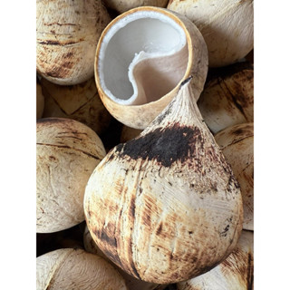 มะพร้าวเผา10ลูก มะพร้าวน้ำหอมเผาเนื้อนิ่ม