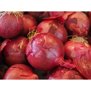 หอมแขกดอง (Shallot) ผักดองเกาหลีโฮมเมด สีธรรมชาติ ไม่ใส่สารกันเสีย - Pakdong.story