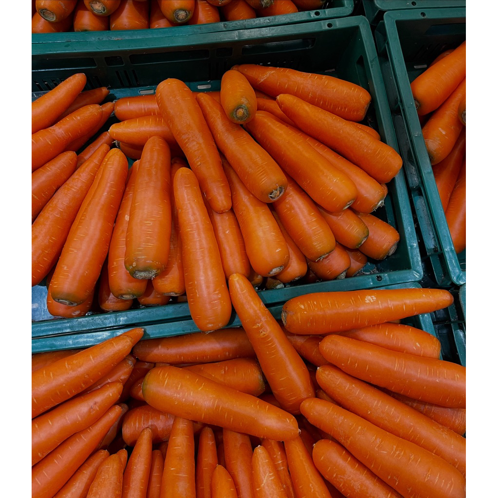 ไชเท้าผสมแครอทดอง (Radish & Carrot) ผักดองเกาหลีโฮมเมด ไม่ใส่สารกันเสีย – Pakdong.story ราคา ถูกที่สุด ดีลบีเคเค แกลเลอรีภาพที่ 6