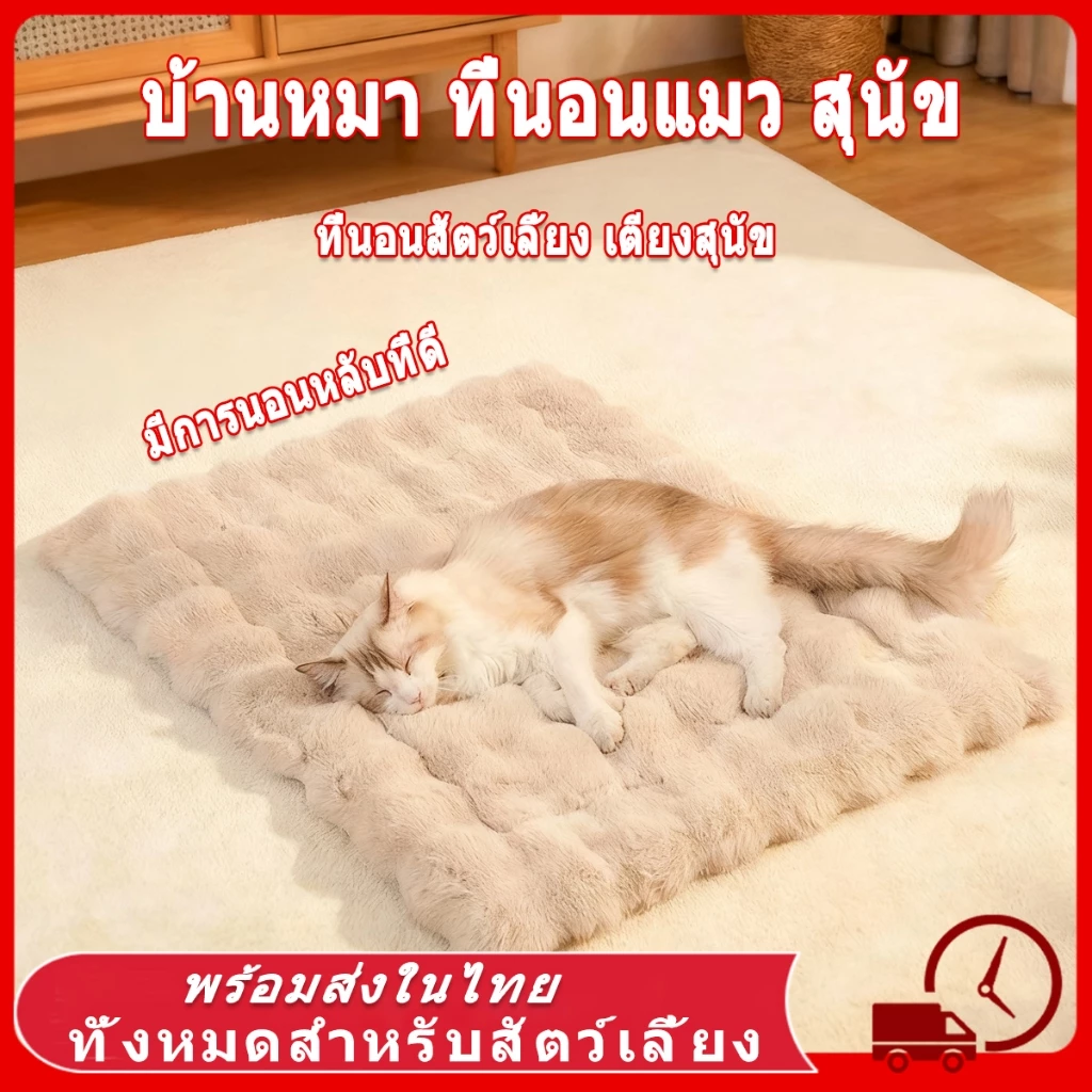 ที่นอนสัตว์เลี้ยง เบาะสัตว์เลี้ยง ผ้าห่มสัตว์เลี้ยง เบาะนอนสำหรับสัตว์เลี้ยง เบาะนุ่มแมว สุนัข ผ้าห่มแมว เบาะนุ่มแมว