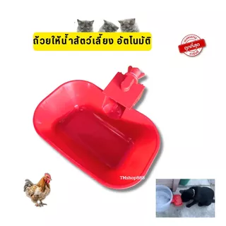 ชามให้น้ำแมวอัตโนมัติ ขนาดใหญ่ สีแดง ถ้วยน้ำแมวหมา ถ้วยน้ำไก่ ขนาด 14เซน