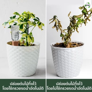 SGE กรวยรดน้ำต้นไม้ ดินเผา หัวหยดน้ำอัตโนมัติ รุ่น CPW วัสดุดินเผาแท้ ทนแดดทนฝน สินค้าคุณภาพ