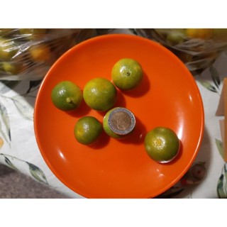 ถูกที่สุดและจัดส่งฟรี มะปี้ด (ส้มจี๊ด)  (calamansi) I ส่งตรง…