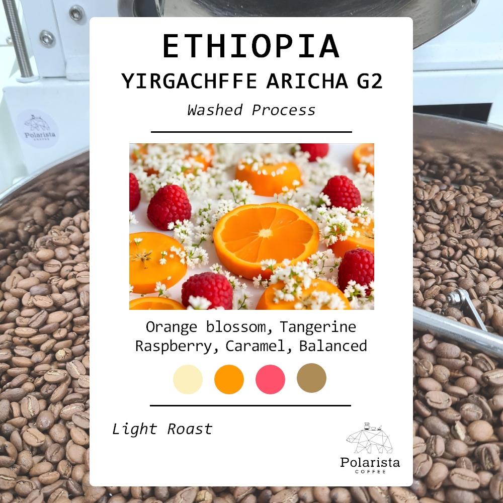 เมล็ดกาแฟคั่ว Ethiopia Yirgacheffe Aricha G2 Washed roasted coffee 200g