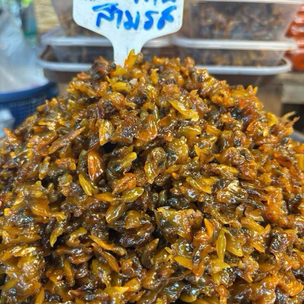 หอยลายสามรสแท้ สดจากทะเล รสเด็ดสูตรแหม่ม