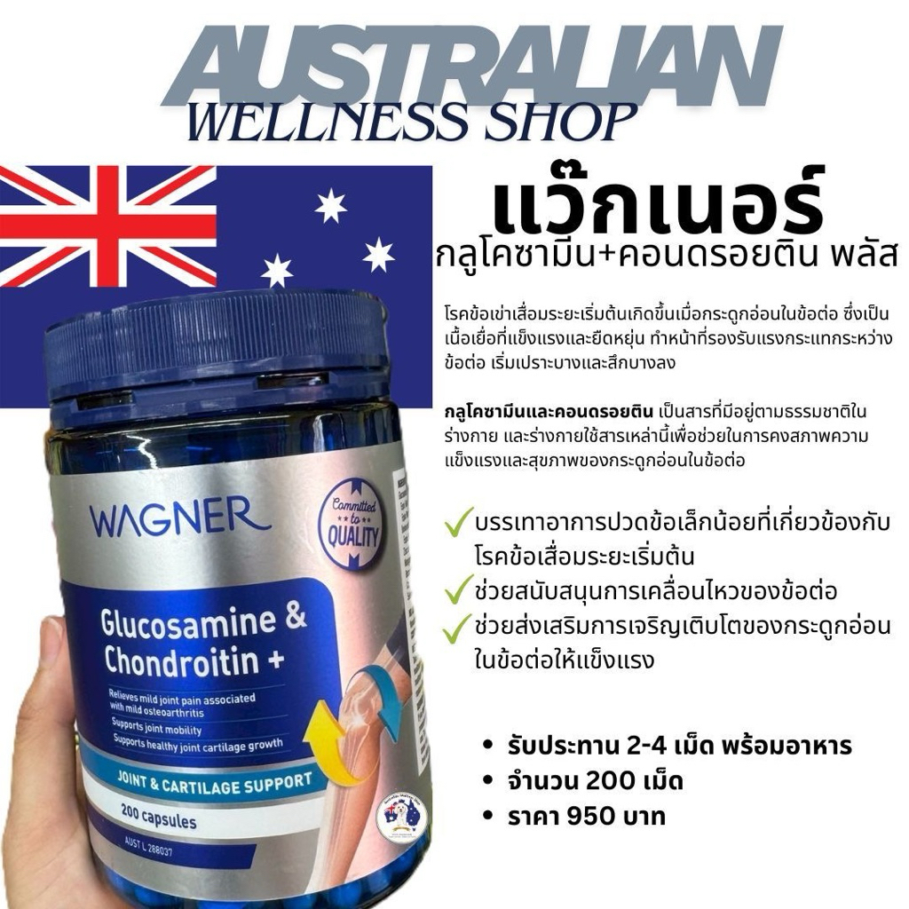 Wagner Glucosamine & Chondroitin + 200 Capsules