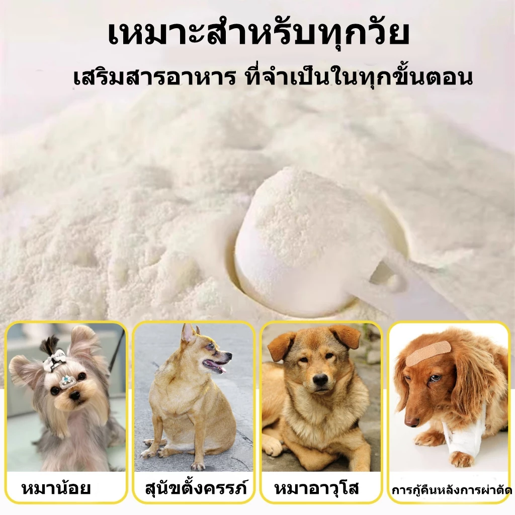 Pet Record นมผงแกะ เสริมสร้างสมรรถภาพทางกาย อุดมไปด้วยสารอาหาร ช่วยเติบโต เหมาะสำหรับสุนัขและแมว 300g thumbnail 6