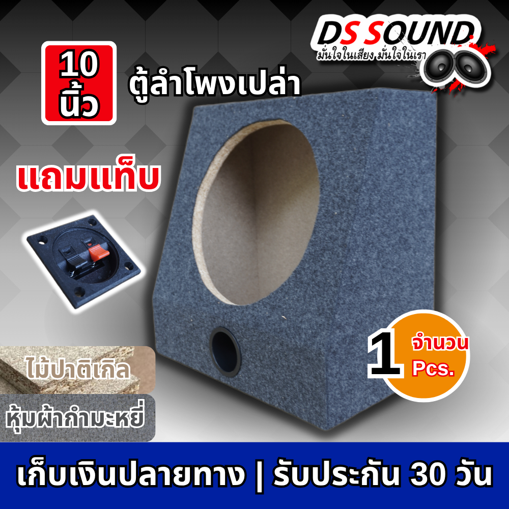 DS Sound ตู้ลำโพงเปล่า 10 นิ้ว  พร้อมใช้งาน