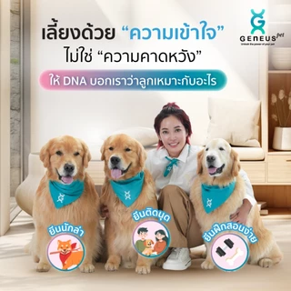 Geneus Pet | Dog DNA ตรวจ DNA สุนัข สายพันธุ์ สุขภาพ พรสวรรค์ นิสัย ภูมิแพ้ โภชนาการอาหาร | 1 กล่อง
