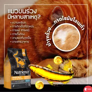 🔥5kg🔥อาหารแมว Nutrience สูตรแมวโต ครบทุกสูตร Infusion และ Sub ZERO สำหรับ แมวกินยาก Made in Canada