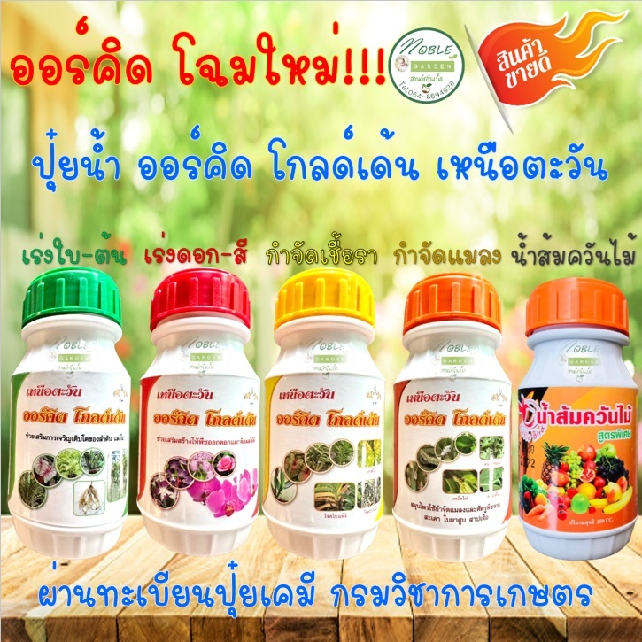 ฉลากใหม่! ปุ๋ยน้ำ ออร์คิด โกลด์เด้น ออร์คิด เหนือตะวัน  สูตร เร่งใบ เร่งดอก กำจัดเชื้อรา กำจัดแมลง น้ำส้มควันไม้