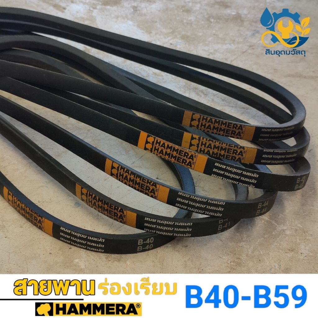 สายพาน HAMMERA (ของแท้💯) ร่อง B เบอร์ 60 - 79 V-Belts สายพานสูบน้ำ วิดน้ำ พ่นยา สายพานการเกษตร ราคาถูกที่สุด💯
