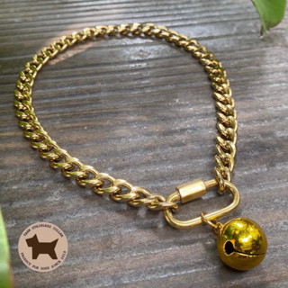 ปลอกคอสุนัข สร้อยคอสุนัข สร้อยเลสสแตนเลสแท้ สีทอง ขนาด 10 มิ…